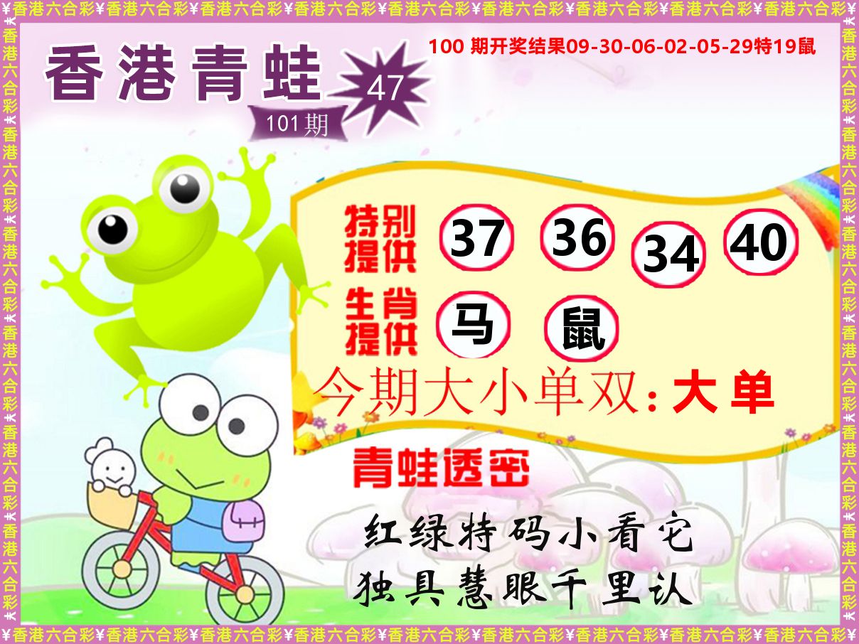 青蛙系列47 第101期