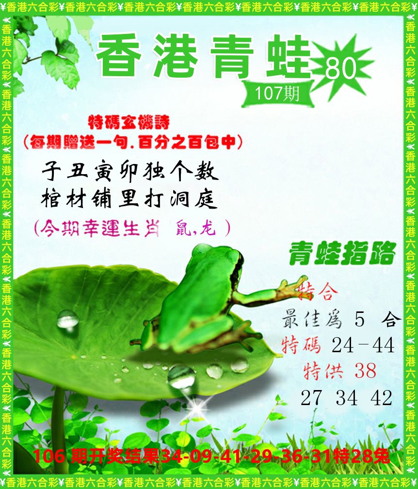 青蛙系列80 第107期