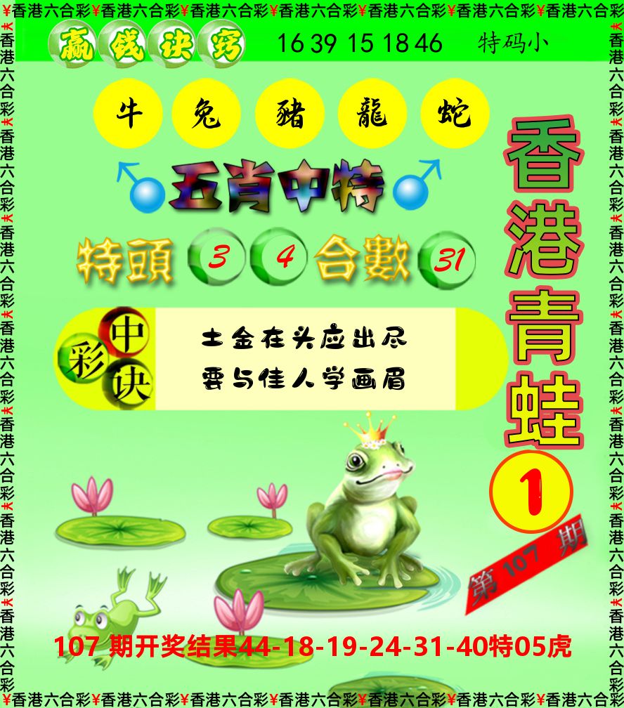 青蛙系列1 第108期