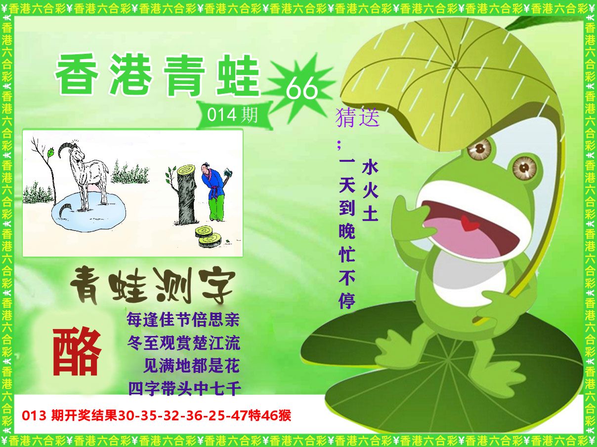 青蛙系列66 第14期