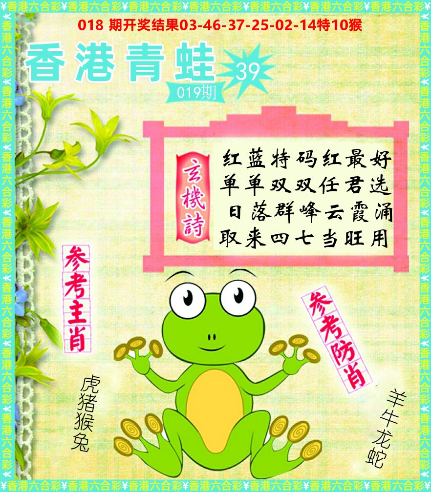 青蛙系列39 第19期
