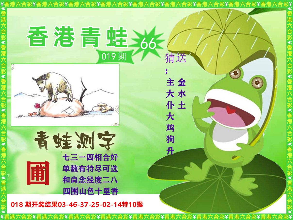 青蛙系列66 第19期