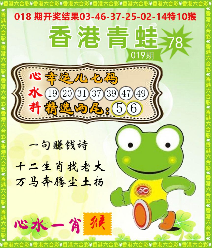 青蛙系列78 第19期