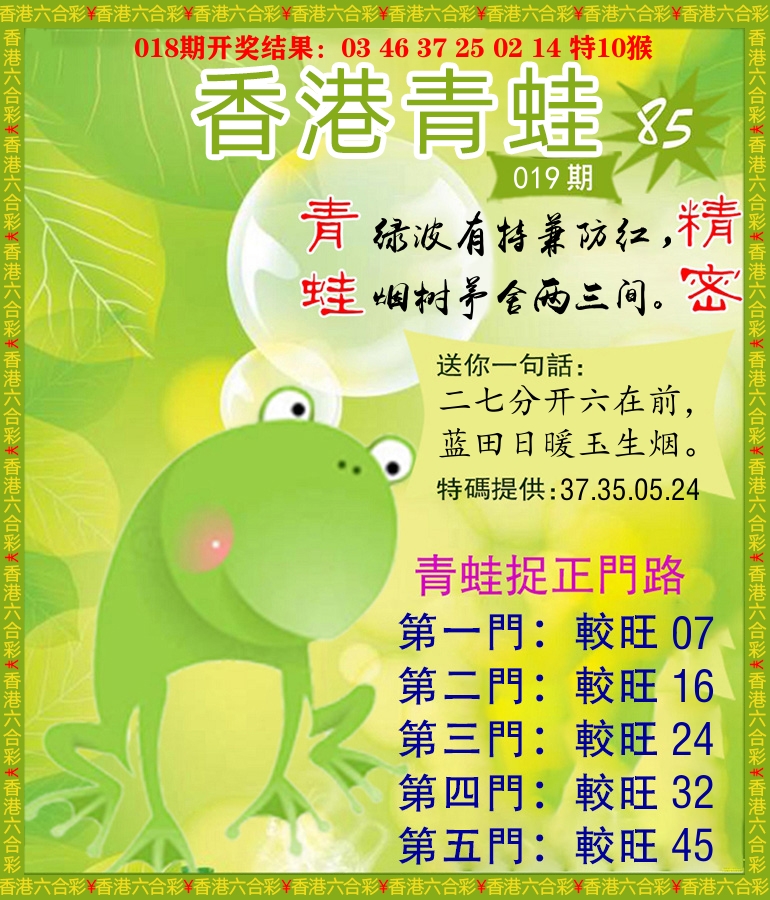 青蛙系列85 第19期