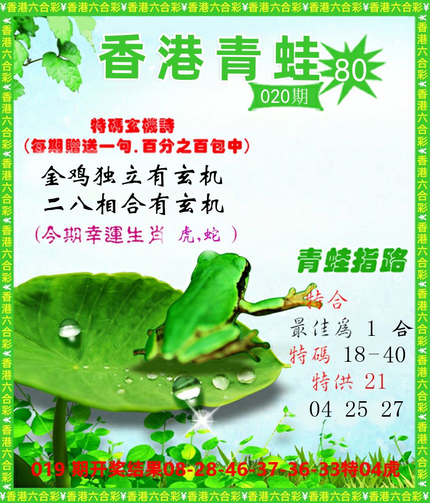 青蛙系列80 第20期