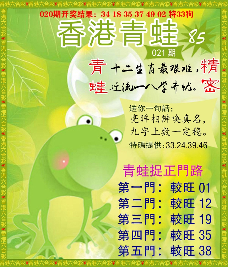 青蛙系列85 第21期