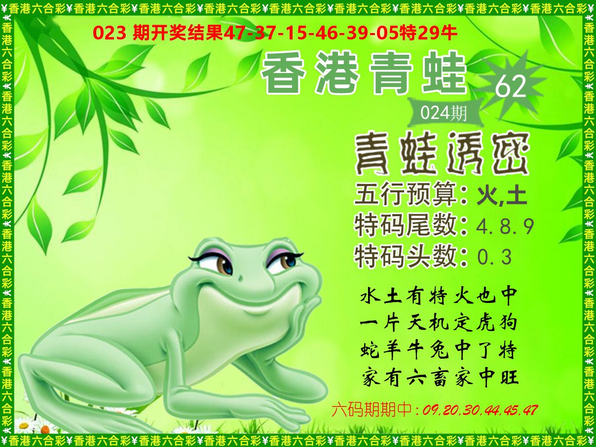 青蛙系列62 第24期