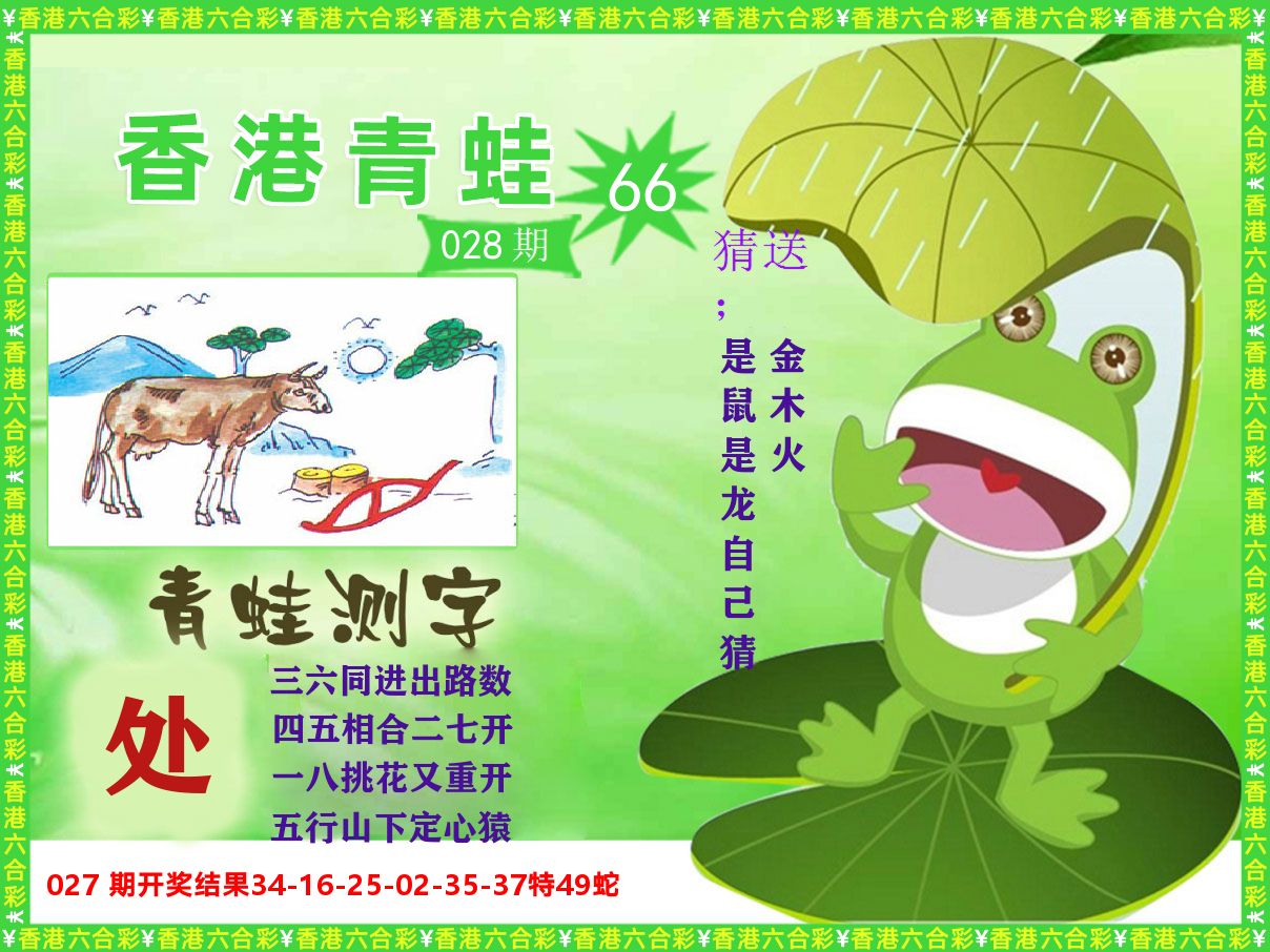 青蛙系列66 第28期
