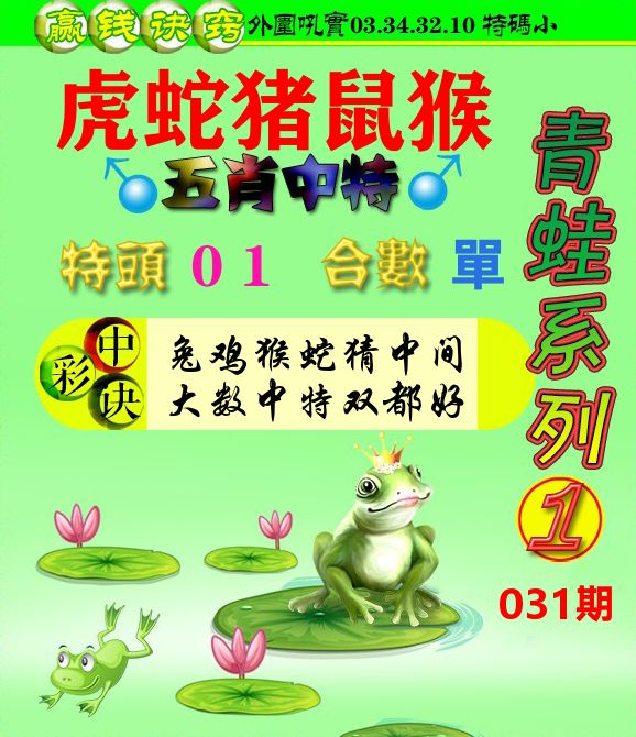 青蛙彩图 第31期