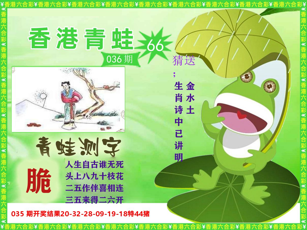 青蛙系列66 第36期