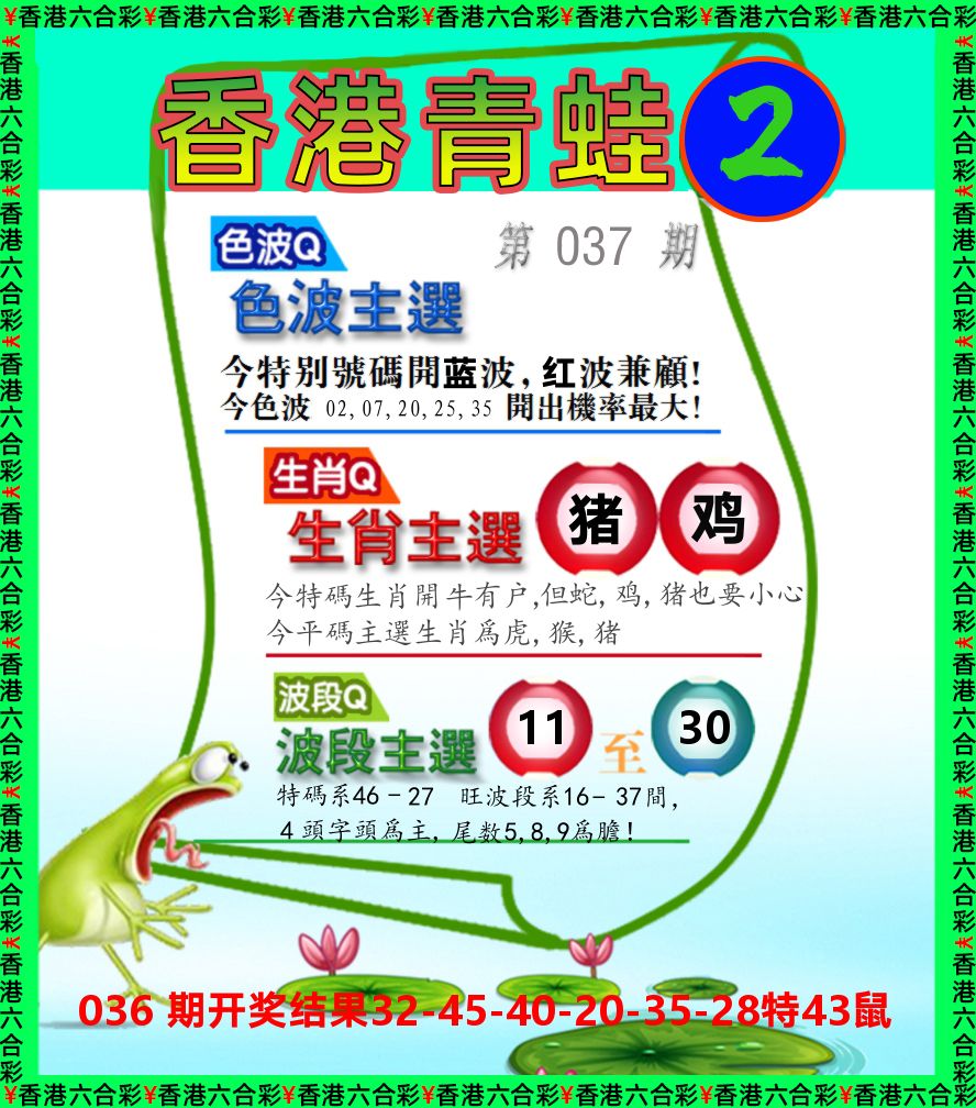 青蛙系列2 第37期