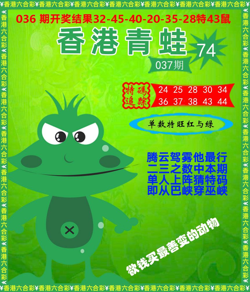 青蛙系列74 第37期