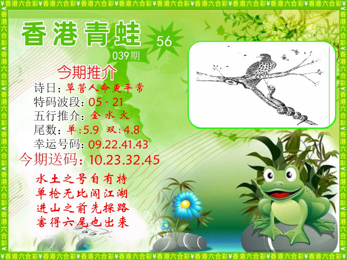 青蛙系列56 第39期