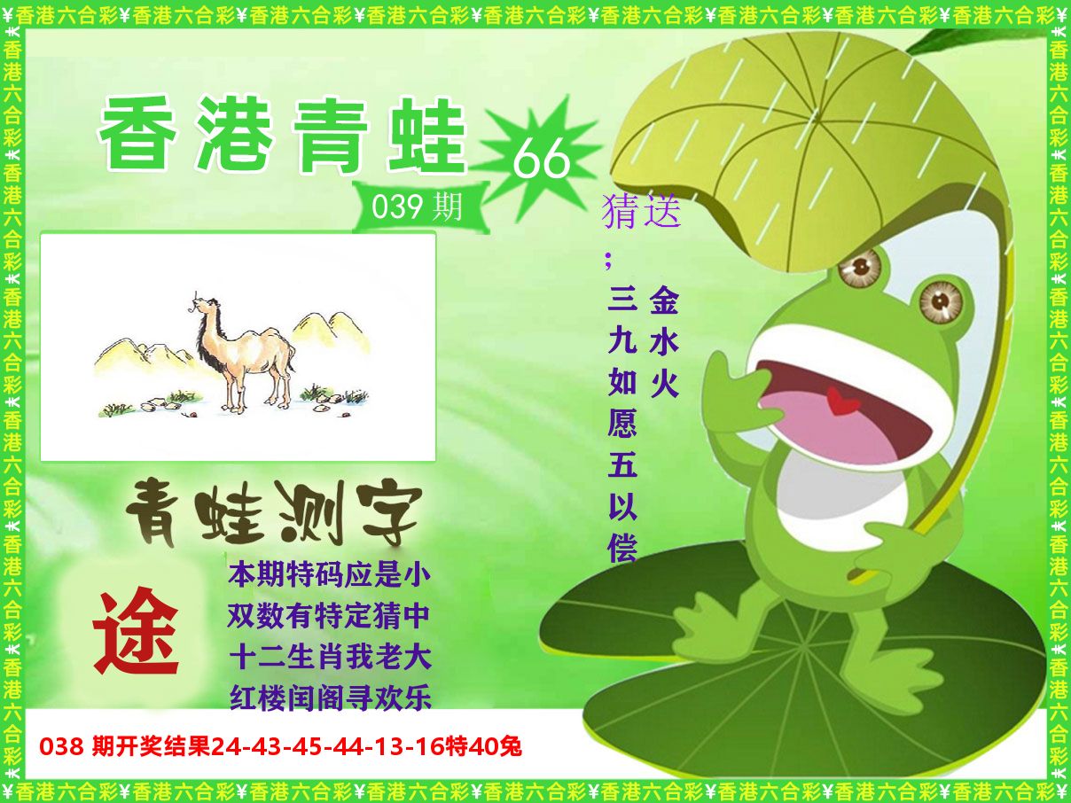 青蛙系列66 第39期