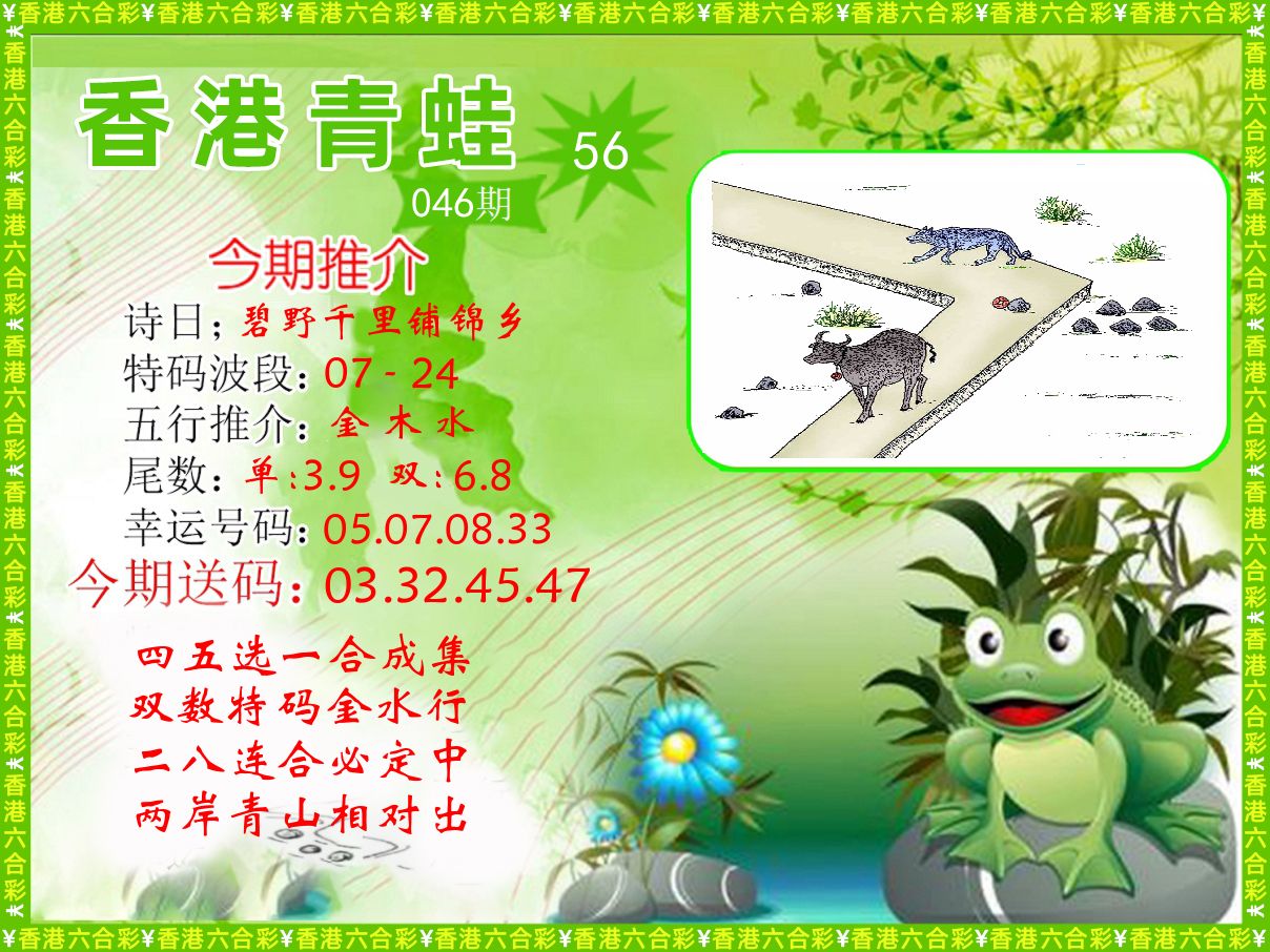 青蛙系列56 第46期