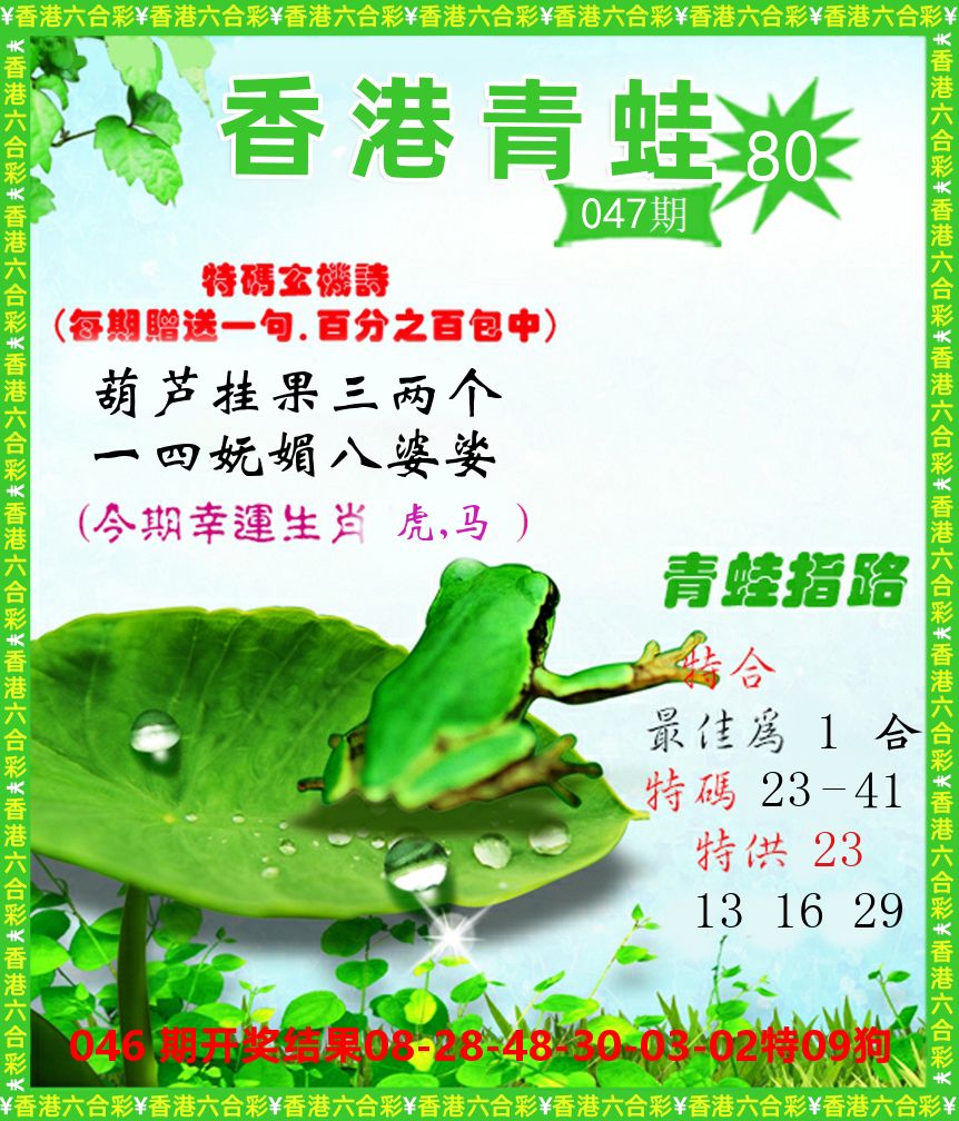 青蛙系列80 第47期