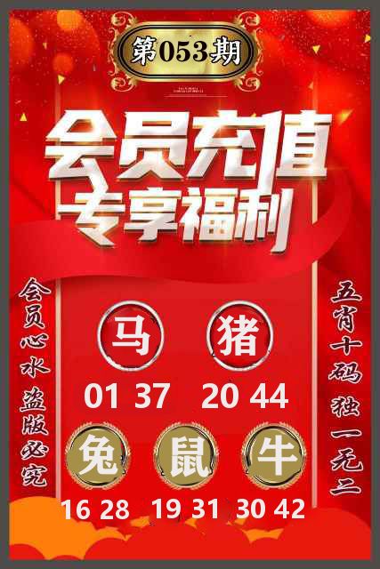 五肖十码 第53期