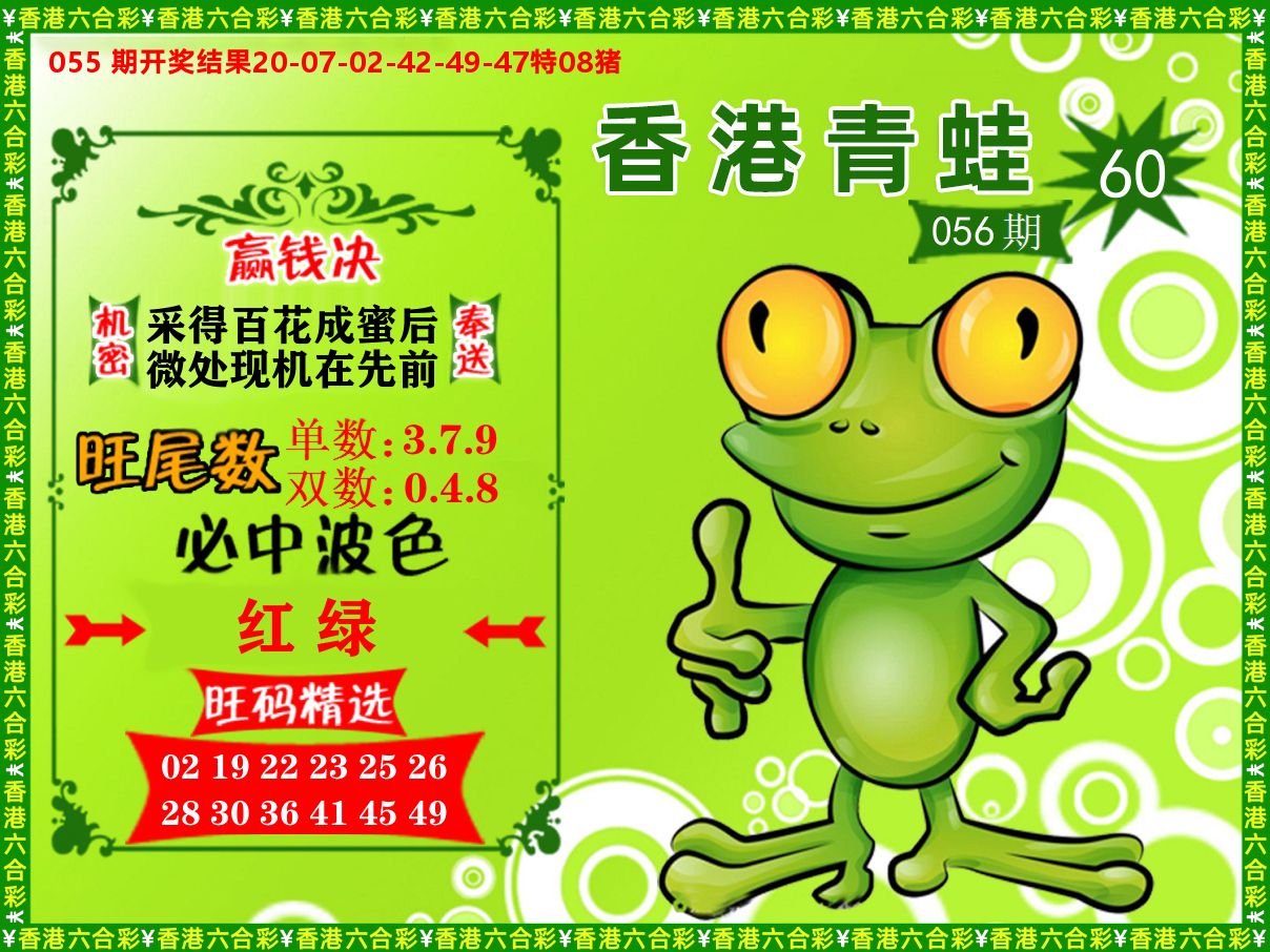 青蛙系列60 第56期