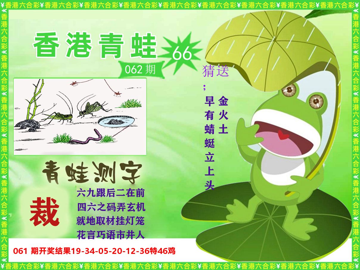 青蛙系列66 第62期