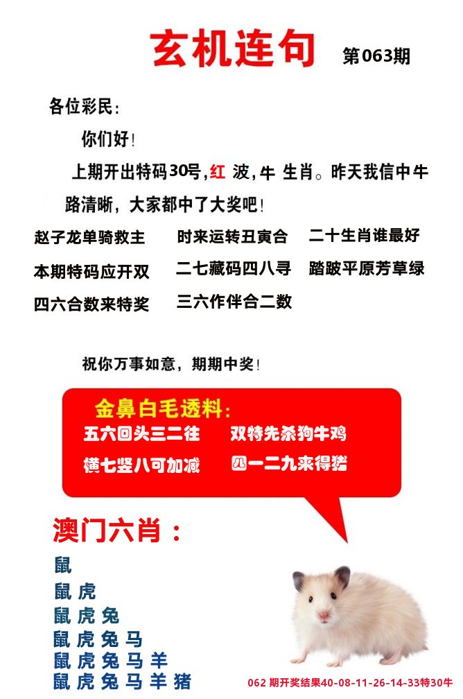 玄机连句 第63期