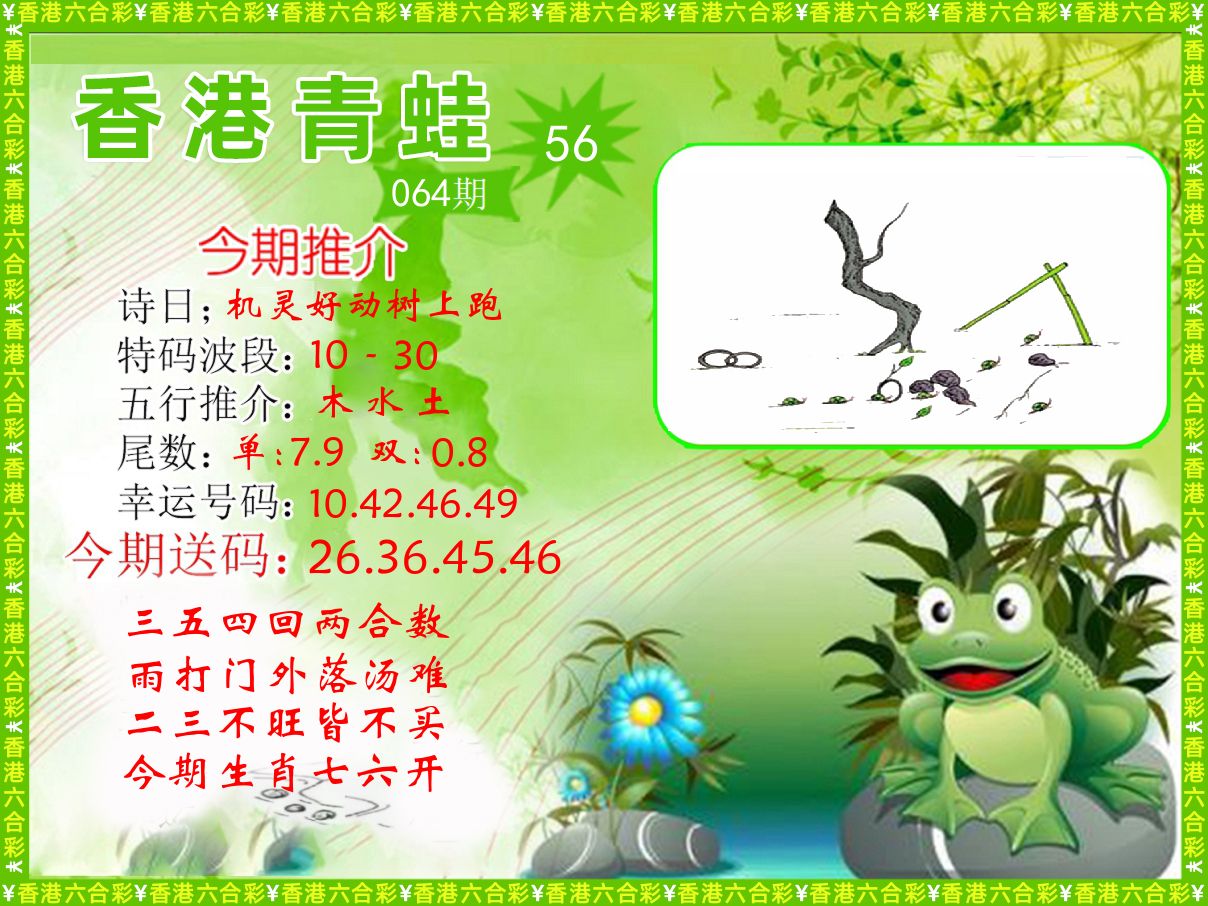 青蛙系列56 第64期