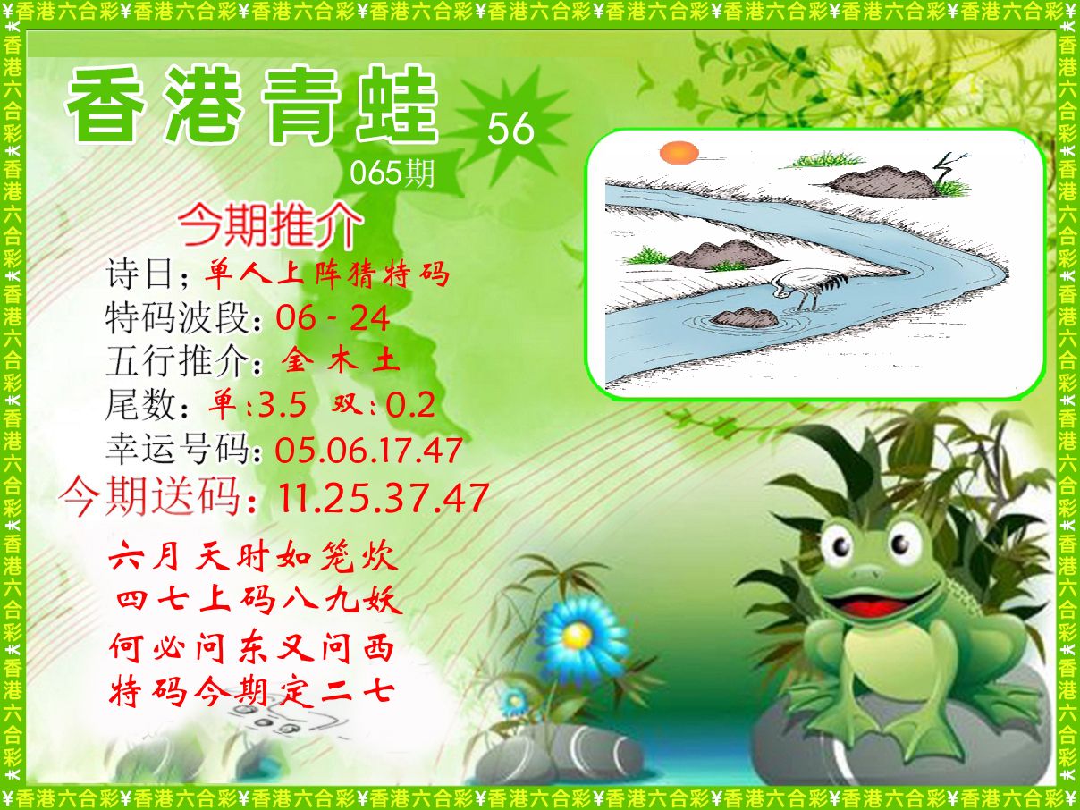 青蛙系列56 第65期