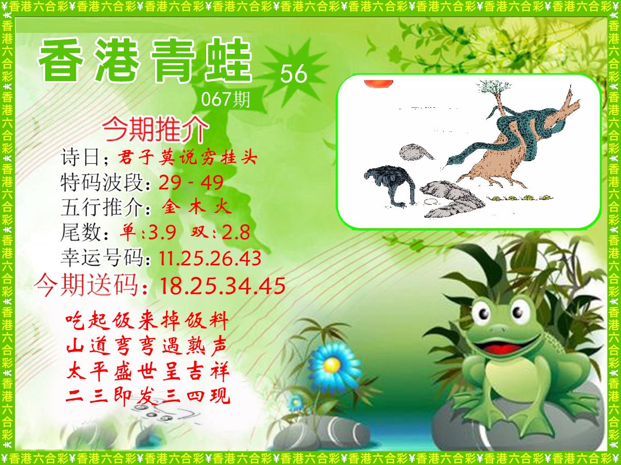 青蛙系列56 第67期