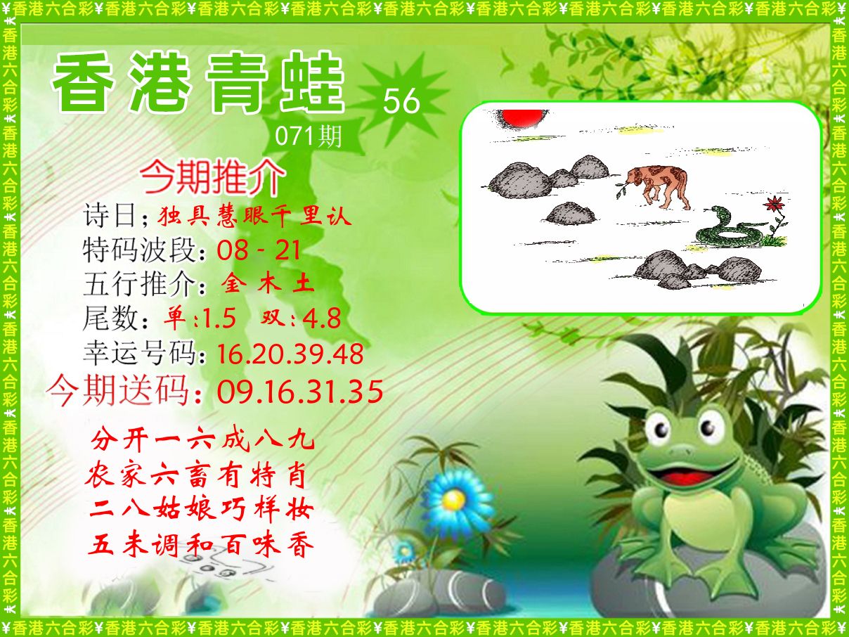 青蛙系列56 第71期