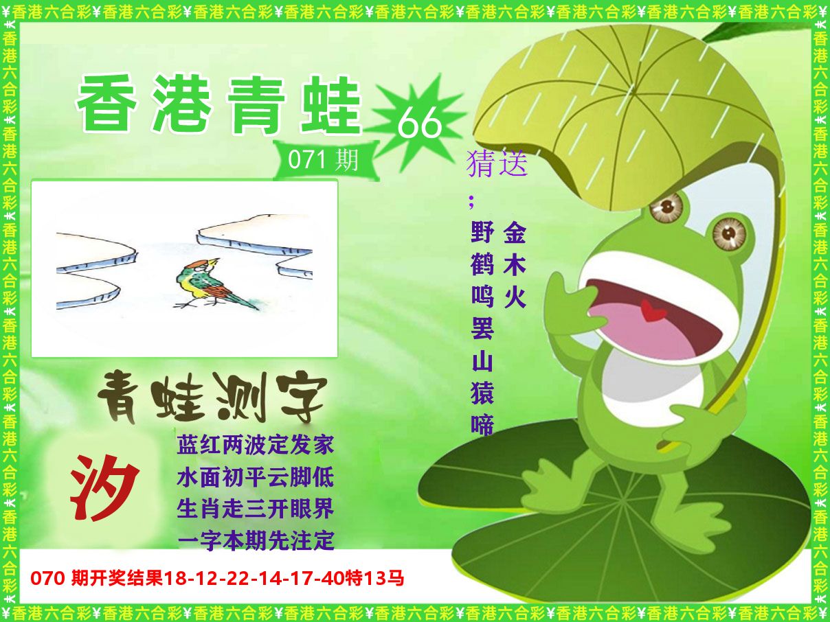 青蛙系列66 第71期
