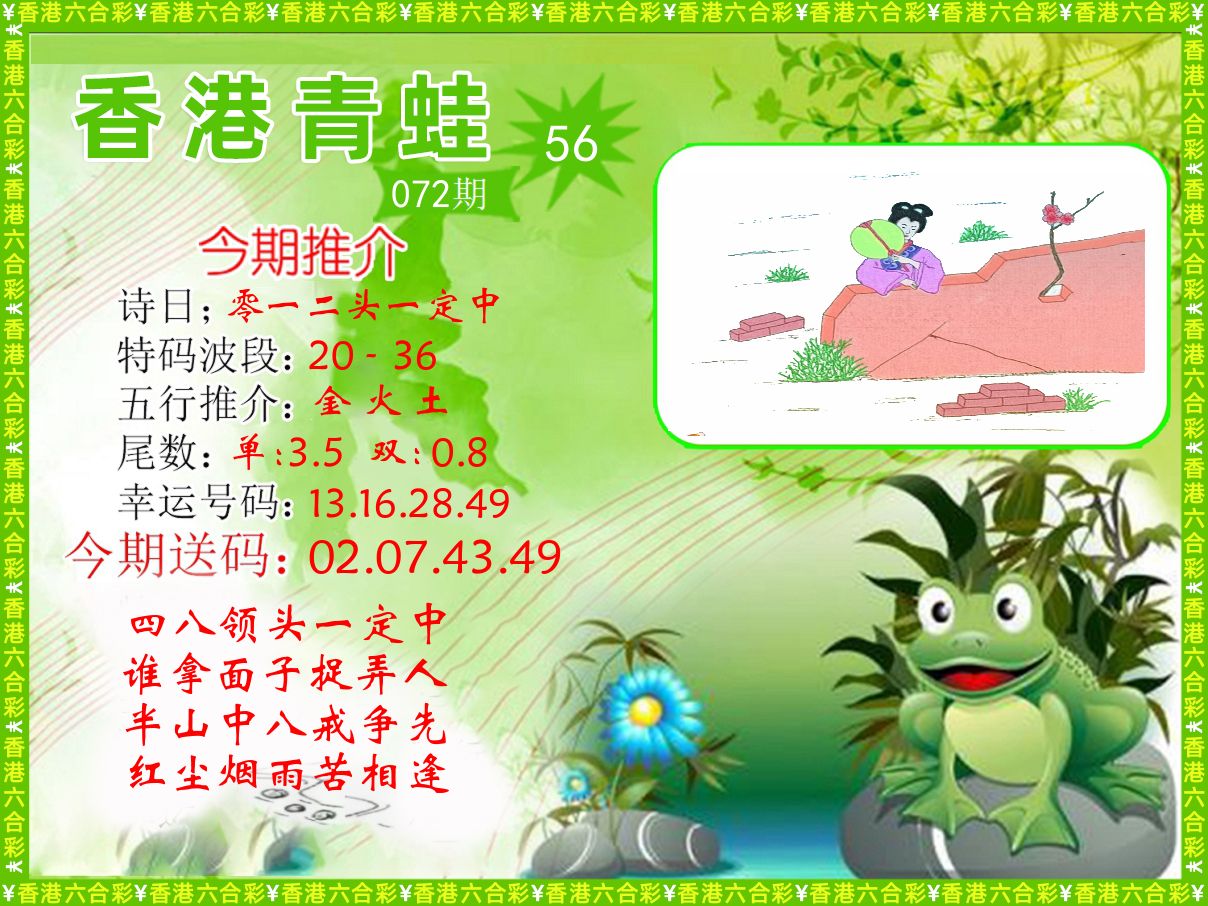 青蛙系列56 第72期