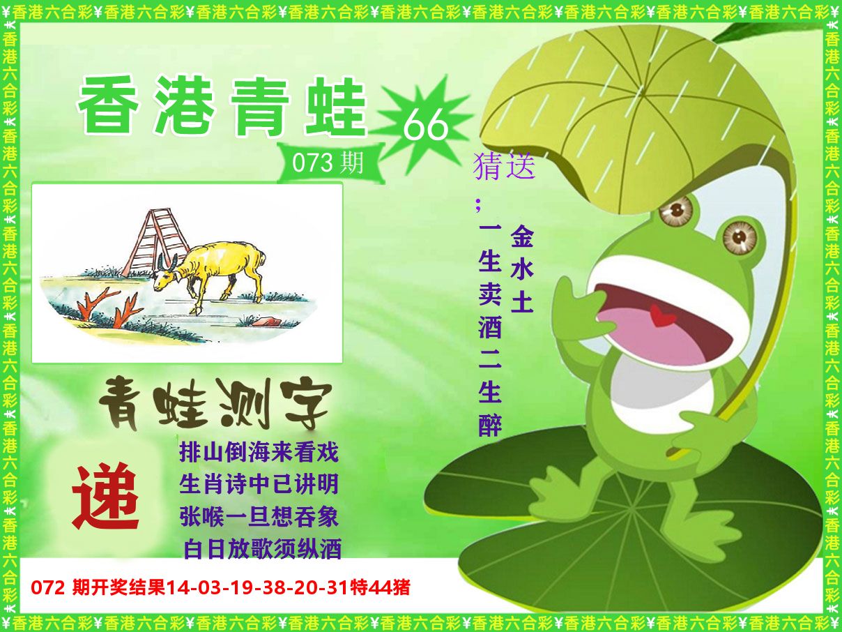 青蛙系列66 第73期