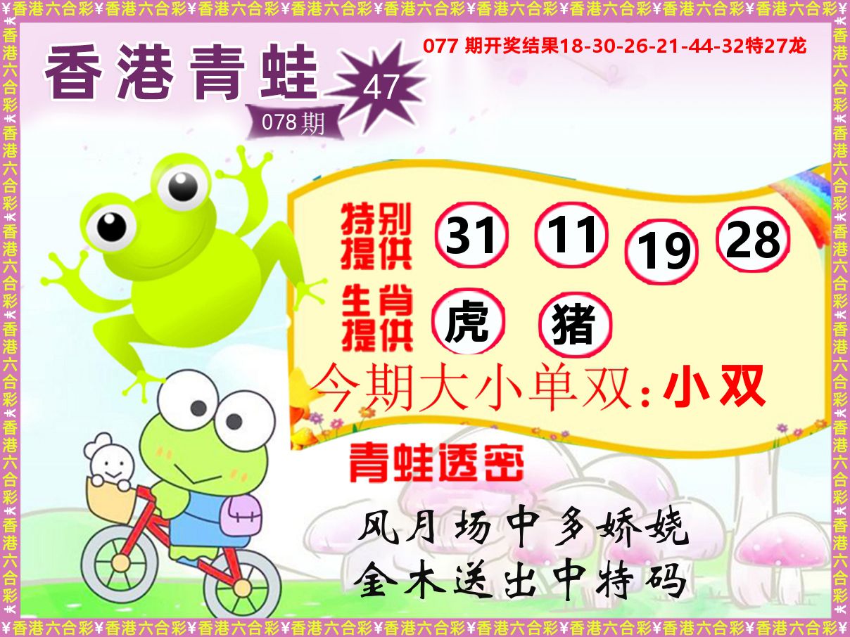 青蛙系列47 第78期