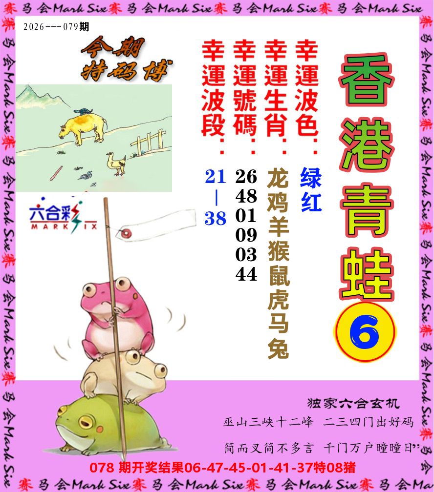 青蛙系列6 第79期