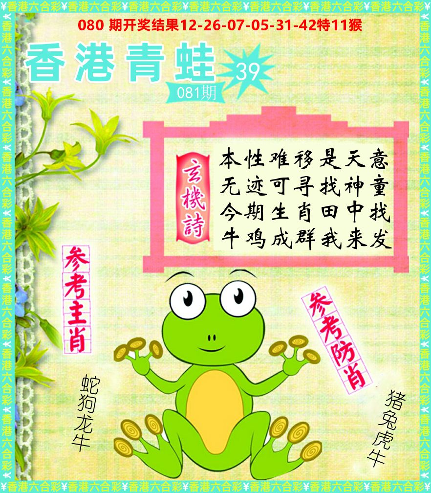 青蛙系列39 第81期