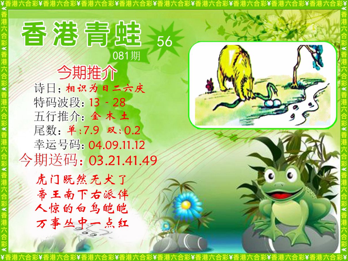 青蛙系列56 第81期