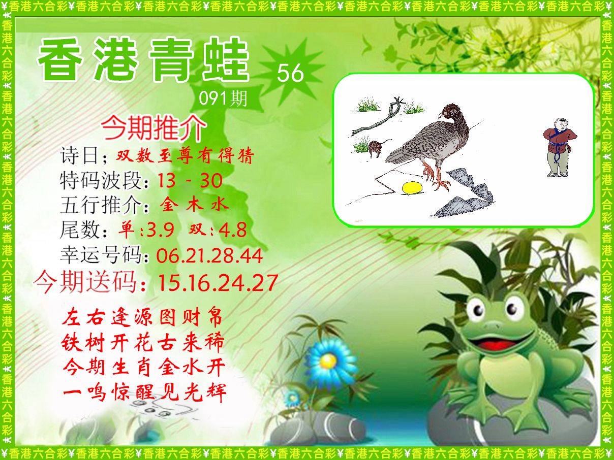 青蛙系列56 第91期